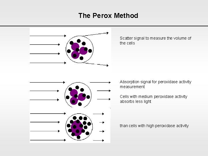 The Perox Method Scatter signal to measure the volume of the cells Absorption signal