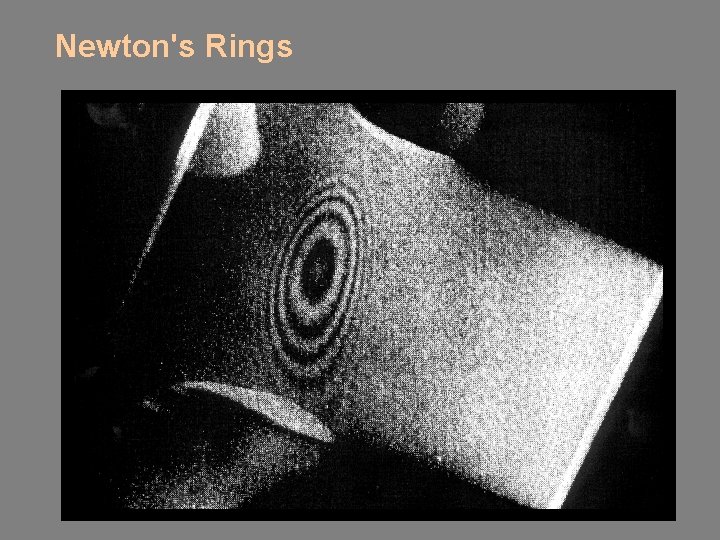 Newton's Rings 