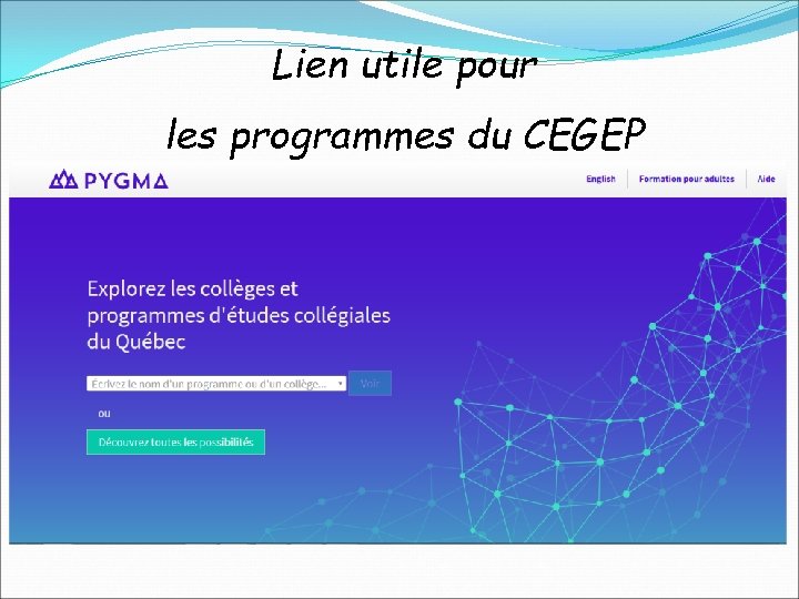 Lien utile pour les programmes du CEGEP 