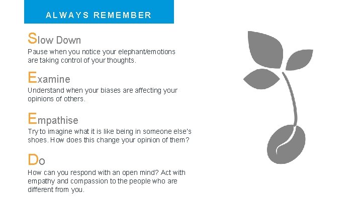 ALWAYS REMEMBER Slow Down Pause when you notice your elephant/emotions are taking control of