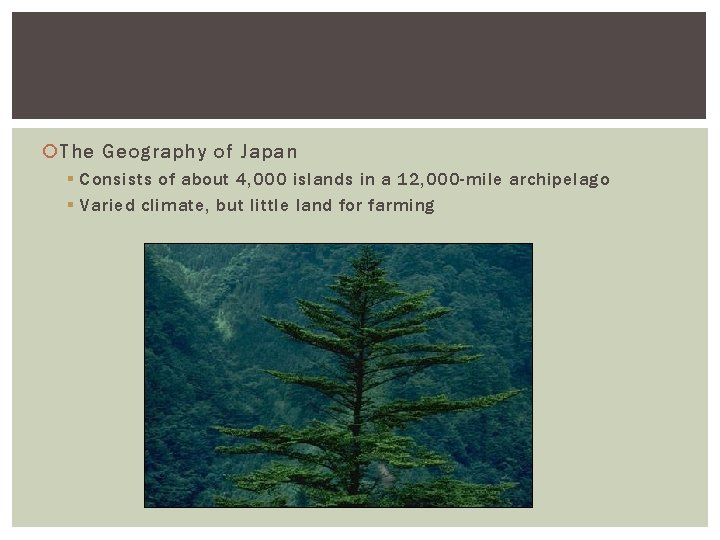 The Geography of Japan § Consists of about 4, 000 islands in a The Geography of Japan § Consists of about 4, 000 islands in a