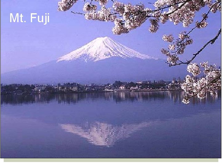 Mt. Fuji Mt. Fuji