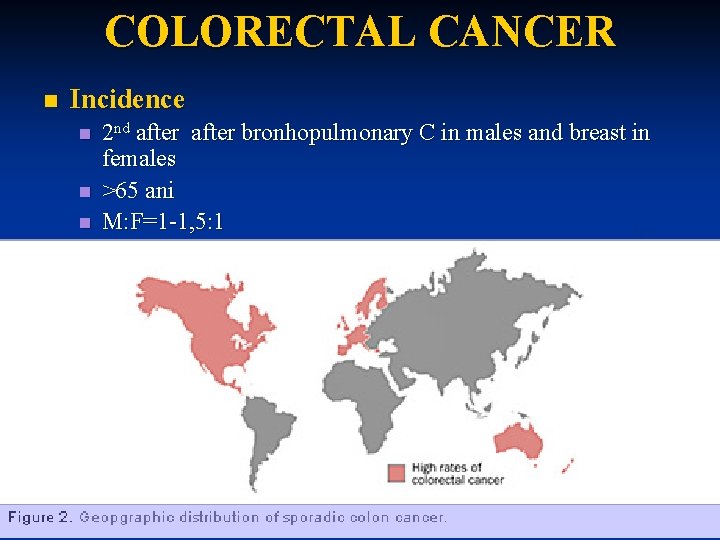 COLORECTAL CANCER n Incidence n n n 2 nd after bronhopulmonary C in males