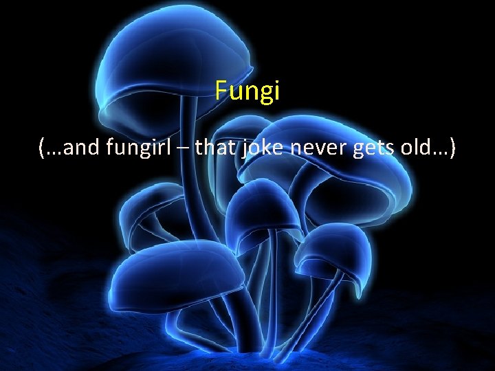 Fungi (…and fungirl – that joke never gets old…) 