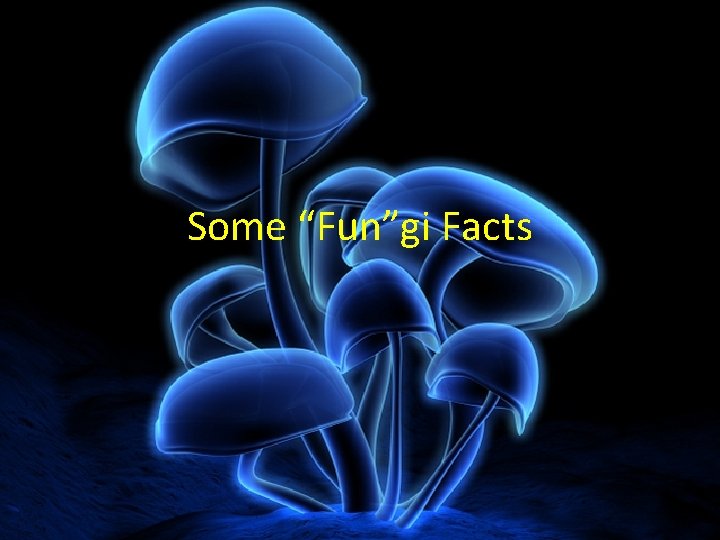 Some “Fun”gi Facts Some “Fun”gi Facts