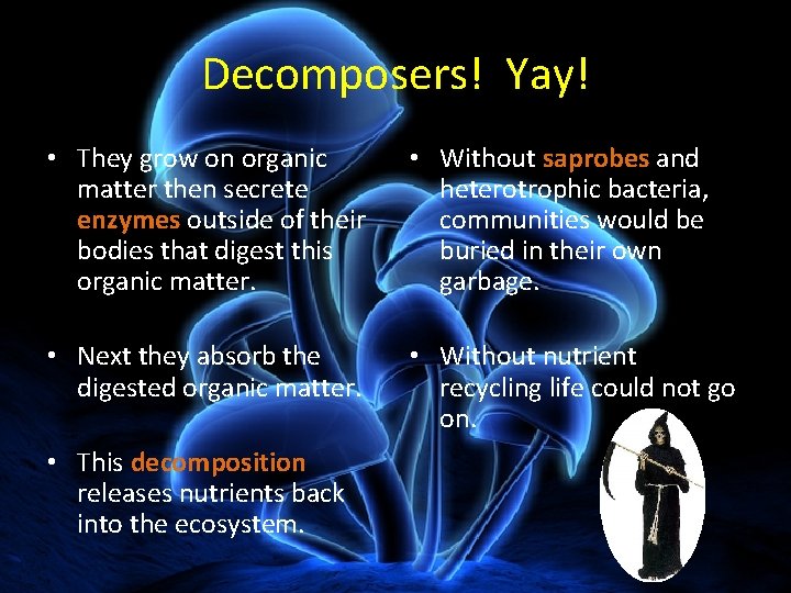 Decomposers! Yay! • They grow on organic matter then secrete enzymes outside of their