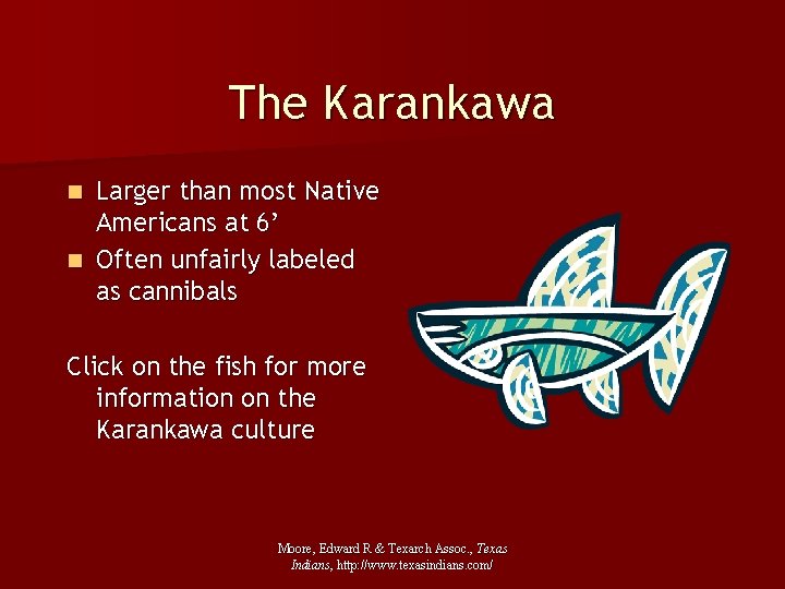 The Karankawa Larger than most Native Americans at 6’ n Often unfairly labeled as