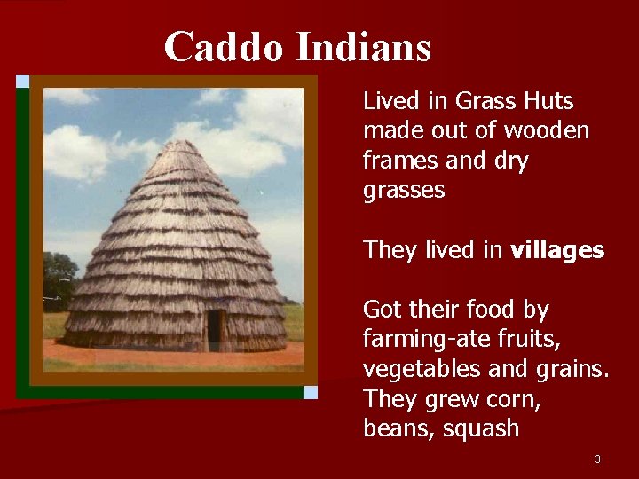 Caddo Indians Lived in Grass Huts made out of wooden frames and dry grasses