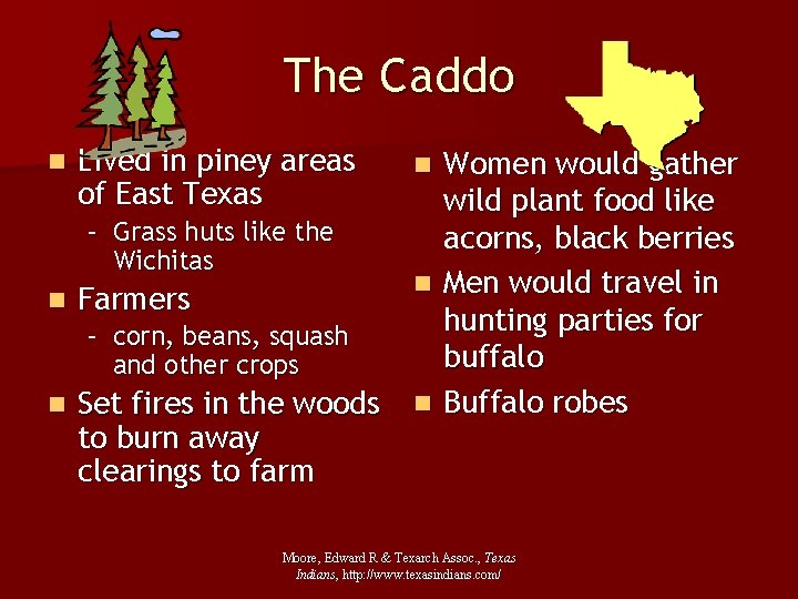 The Caddo n Lived in piney areas of East Texas – Grass huts like