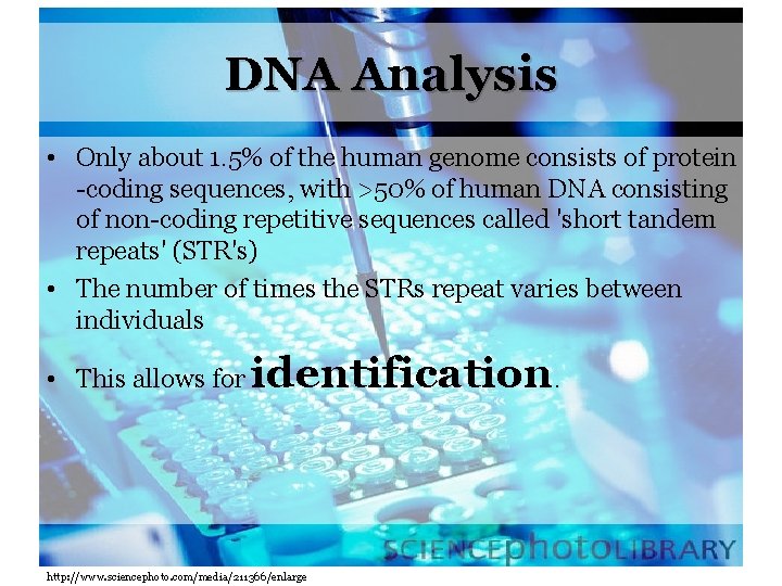DNA Analysis • Only about 1. 5% of the human genome consists of protein