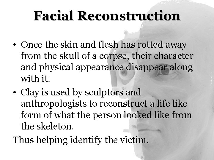 Facial Reconstruction • Once the skin and flesh has rotted away from the skull