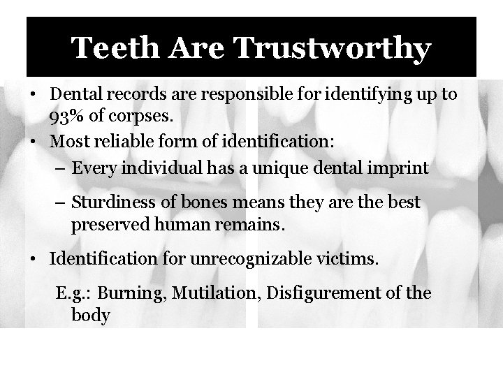 Teeth Are Trustworthy • Dental records are responsible for identifying up to 93% of