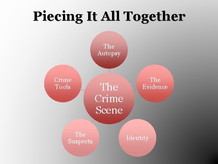 Piecing It All Together The Autopsy Crime Tools The Suspects The Crime Scene The