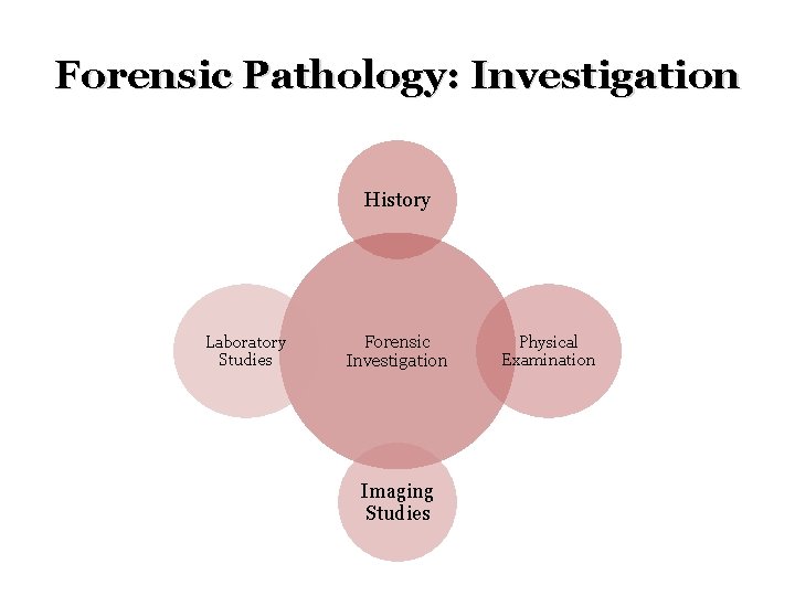 Forensic Pathology: Investigation History Laboratory Studies Forensic Investigation Imaging Studies Physical Examination 