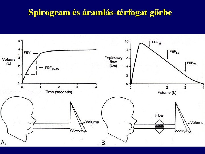 Spirogram és áramlás-térfogat görbe 