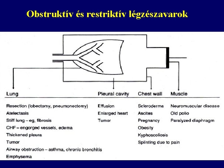 Obstruktív és restriktív légzészavarok 