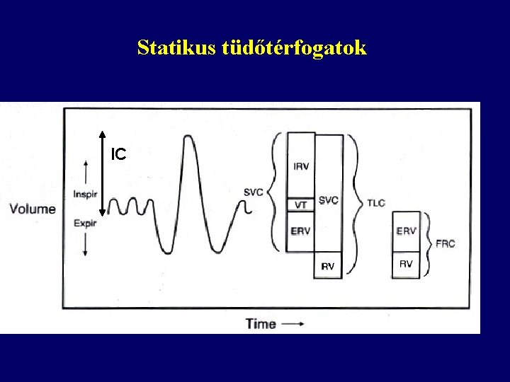 Statikus tüdőtérfogatok IC 