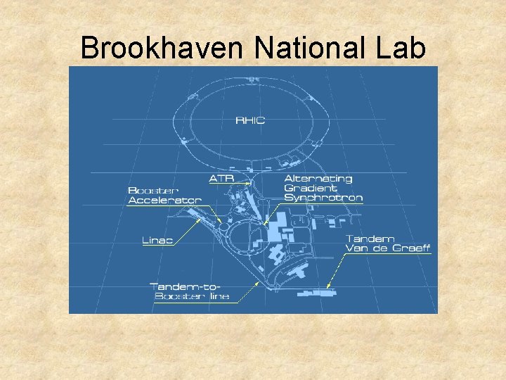 Brookhaven National Lab 