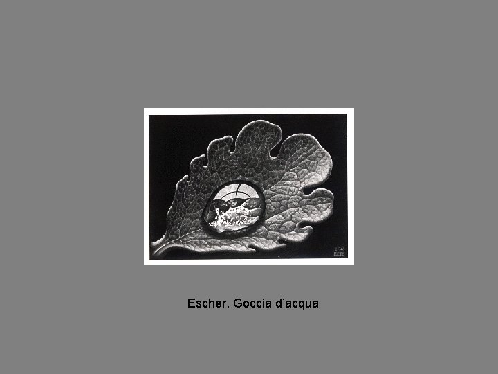 Escher, Goccia d’acqua 