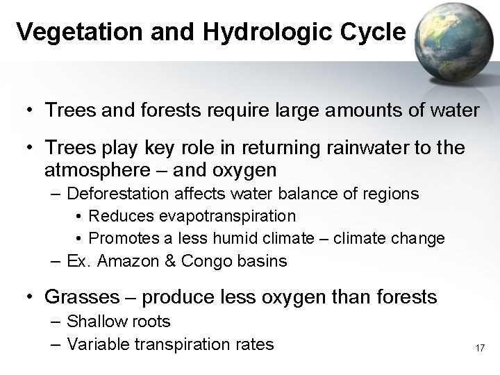 Vegetation and Hydrologic Cycle • Trees and forests require large amounts of water •