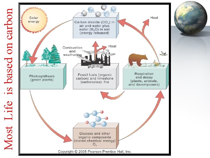 Most Life is based on carbon 