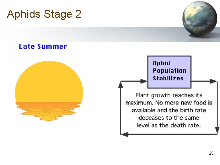 Aphids Stage 2 25 