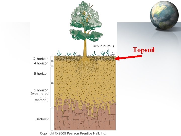 Topsoil 