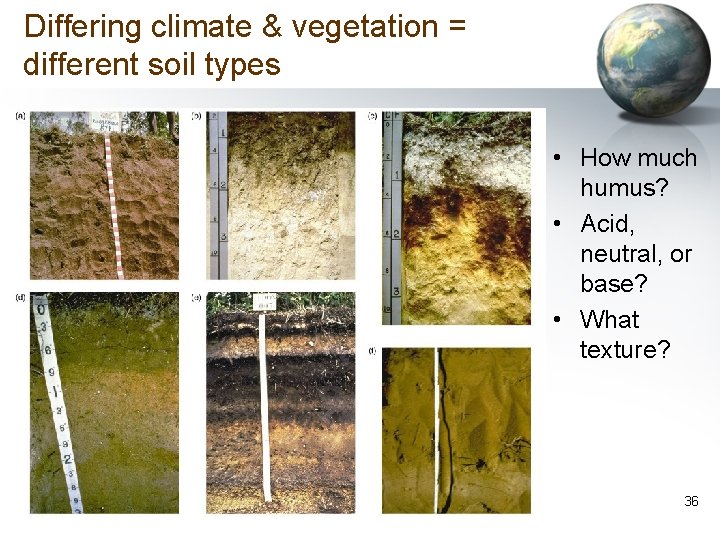 Differing climate & vegetation = different soil types • How much humus? • Acid,