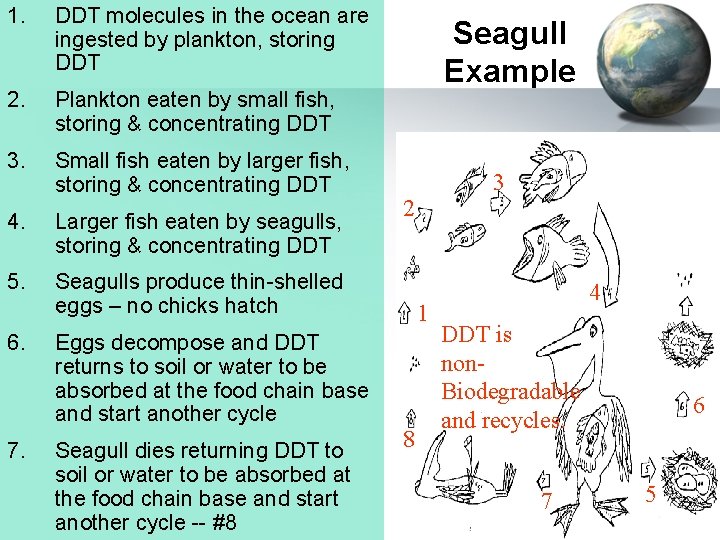 1. DDT molecules in the ocean are ingested by plankton, storing DDT 2. Plankton