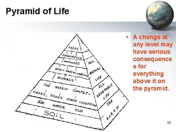 Pyramid of Life • A change at any level may have serious consequence s