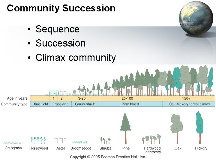 Community Succession • Sequence • Succession • Climax community 55 