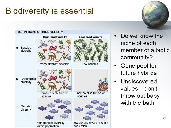 Biodiversity is essential • Do we know the niche of each member of a