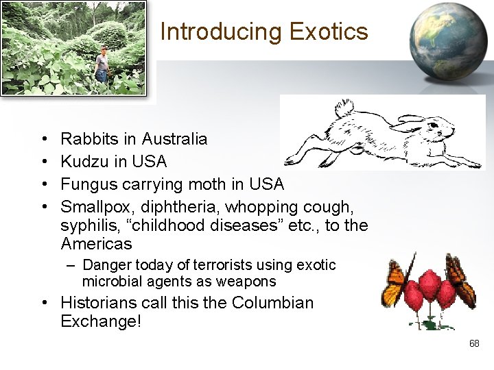 Introducing Exotics • • Rabbits in Australia Kudzu in USA Fungus carrying moth in