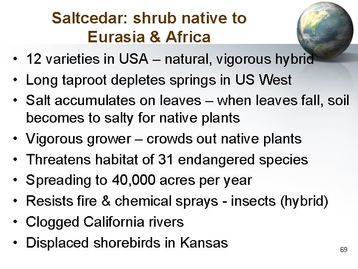 Saltcedar: shrub native to Eurasia & Africa • 12 varieties in USA – natural,