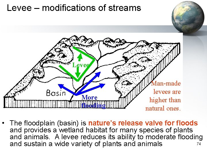 Levee – modifications of streams Levee More flooding Man-made levees are higher than natural