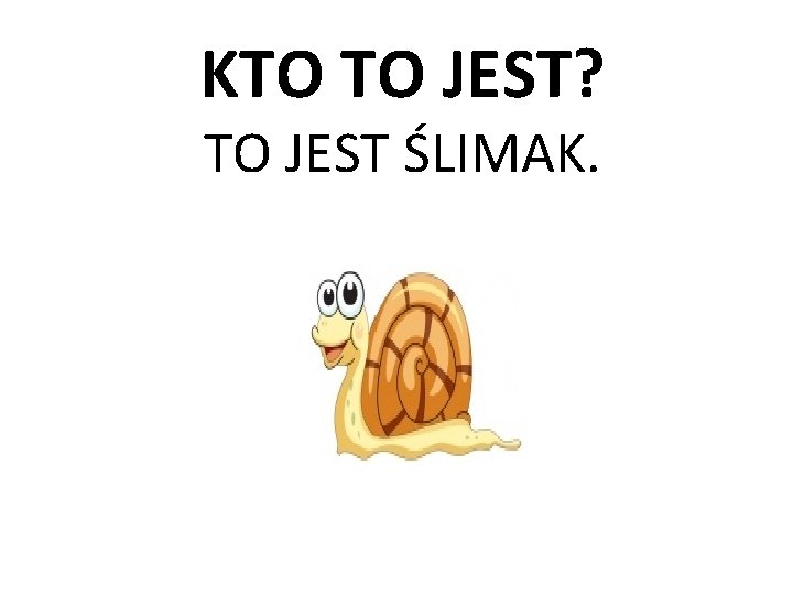 KTO TO JEST? TO JEST ŚLIMAK. 