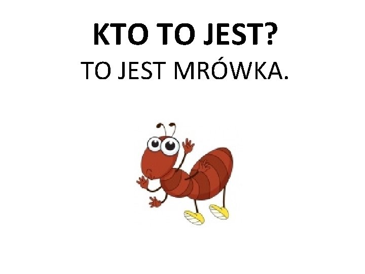 KTO TO JEST? TO JEST MRÓWKA. 