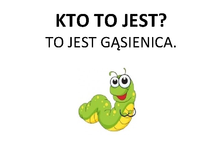 KTO TO JEST? TO JEST GĄSIENICA. 