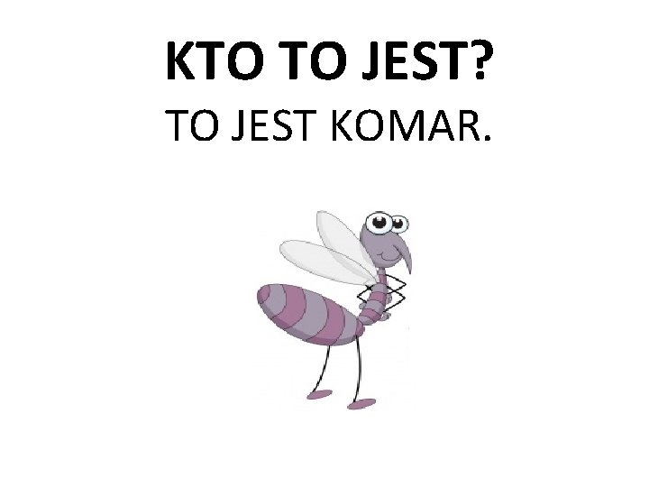 KTO TO JEST? TO JEST KOMAR. 