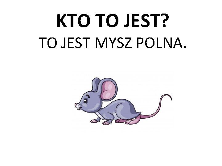 KTO TO JEST? TO JEST MYSZ POLNA. 