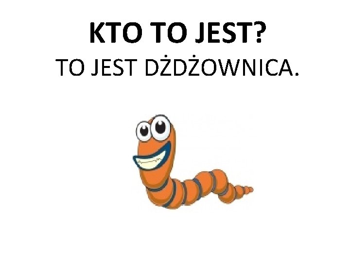KTO TO JEST? TO JEST DŻDŻOWNICA. 