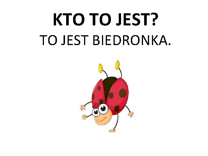 KTO TO JEST? TO JEST BIEDRONKA. 