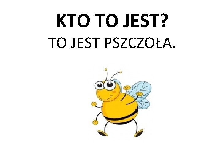 KTO TO JEST? TO JEST PSZCZOŁA. 