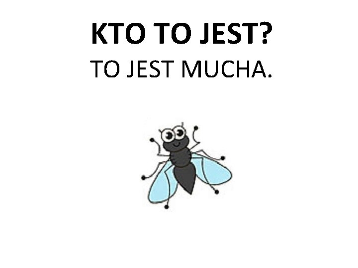 KTO TO JEST? TO JEST MUCHA. 