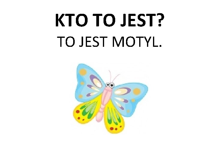 KTO TO JEST? TO JEST MOTYL. 