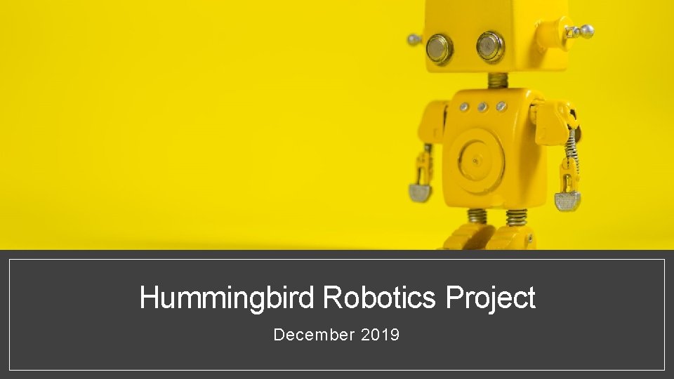 Hummingbird Robotics Project December 2019 