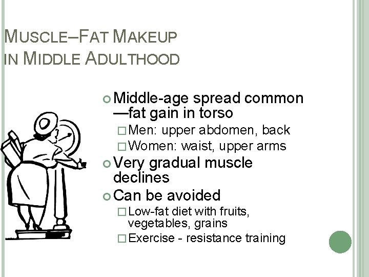 MUSCLE–FAT MAKEUP IN MIDDLE ADULTHOOD Middle-age spread common —fat gain in torso �Men: upper