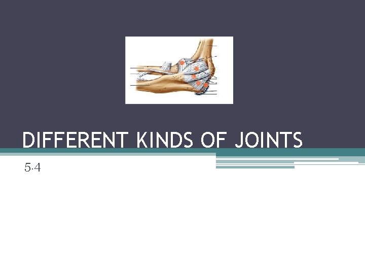 DIFFERENT KINDS OF JOINTS 5. 4 