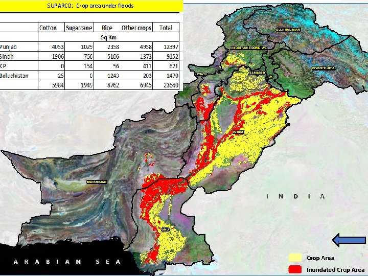 SUPARCO: Crop area under floods Crop Damage Assessment 