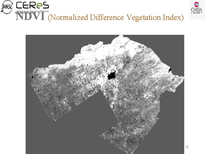 NDVI (Normalized Difference Vegetation Index) 10 